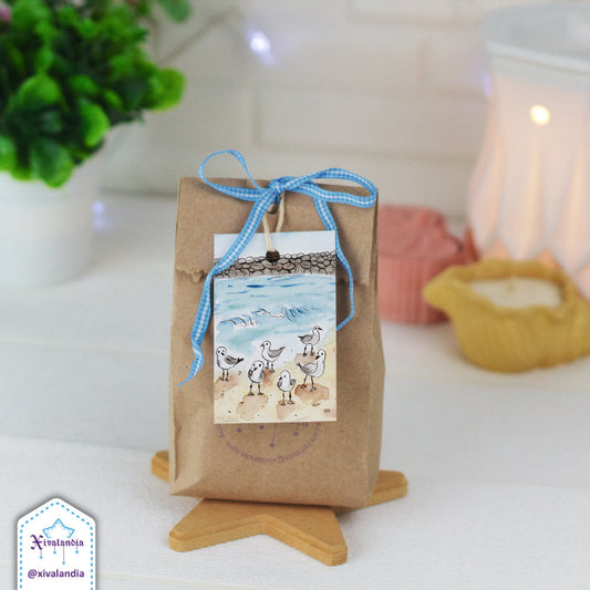 Gaviotas en la playa de Veracruz - 5 Etiquetas para regalo, Gift Tags