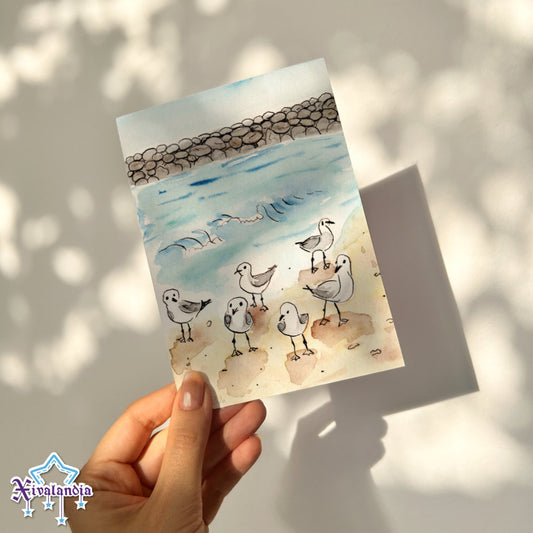 Seagulls on the beach of Veracruz - Print Postcard A6 / 10x15cm / 4x6 in.