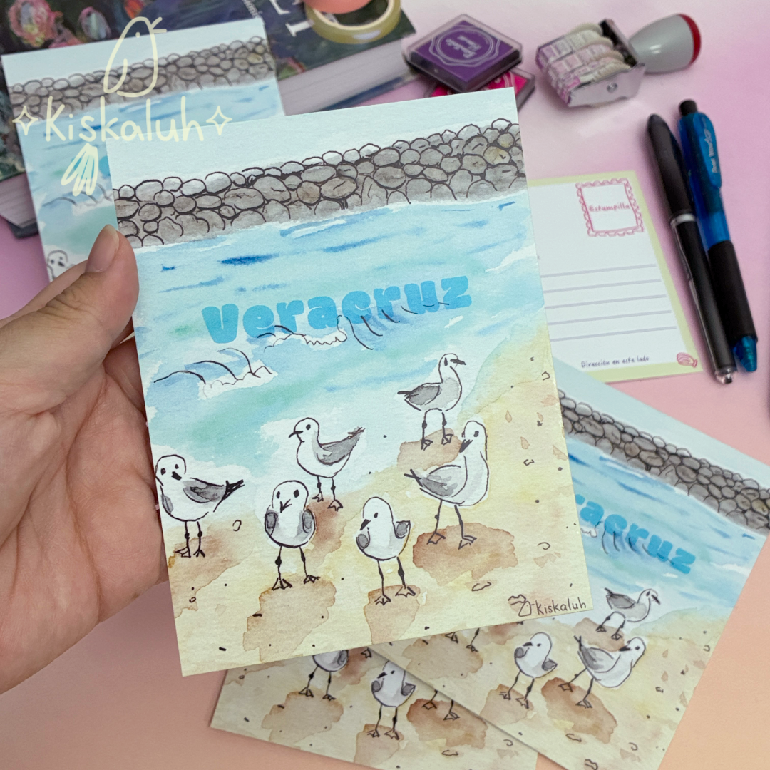 Gaviotas en la playa de Veracruz, Postal ilustrada 4.25 × 5.5 pulg