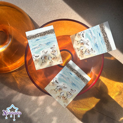 Gaviotas en la playa de Veracruz - 5 Etiquetas para regalo, Gift Tags