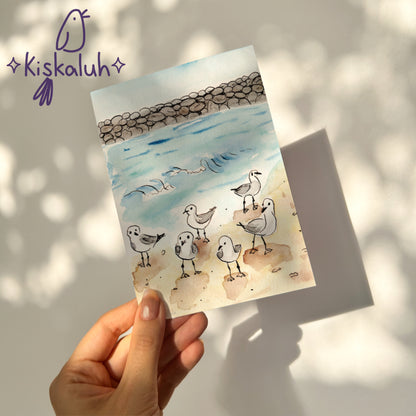 Gaviotas en la playa de Veracruz - Print Postal A6 / 10x15cm / 4x6 pulg.