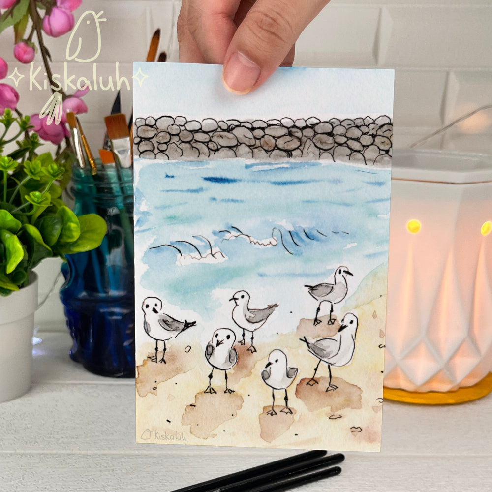 Gaviotas en la playa de Veracruz - Print Postal A6 / 10x15cm / 4x6 pulg.