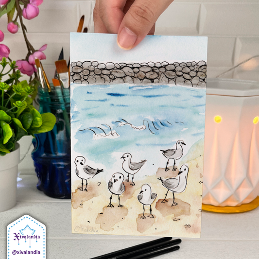 Seagulls on the beach in Veracruz - Greeting card - 10x15cm / 4x6in