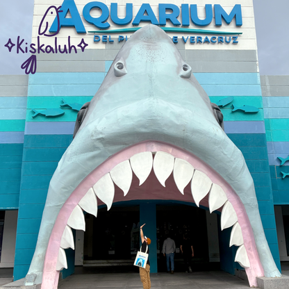 Aquarium, Tiburón del acuario de Veracruz, Tote bag, bolsa de manta